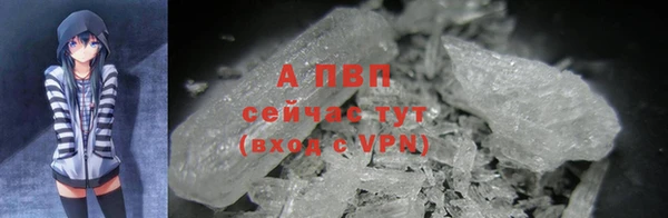 эйфоретик Баксан