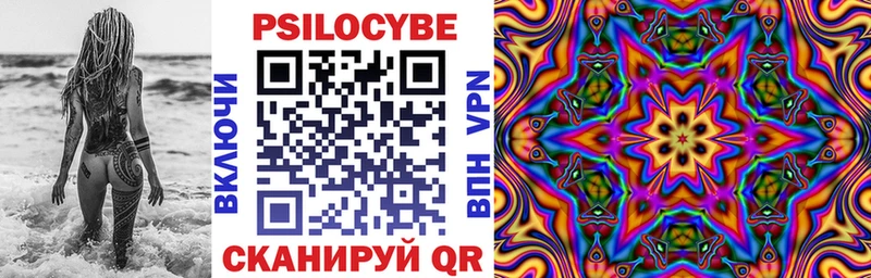 Купить где Лодейное Поле Галлюциногенные грибы Psilocybe